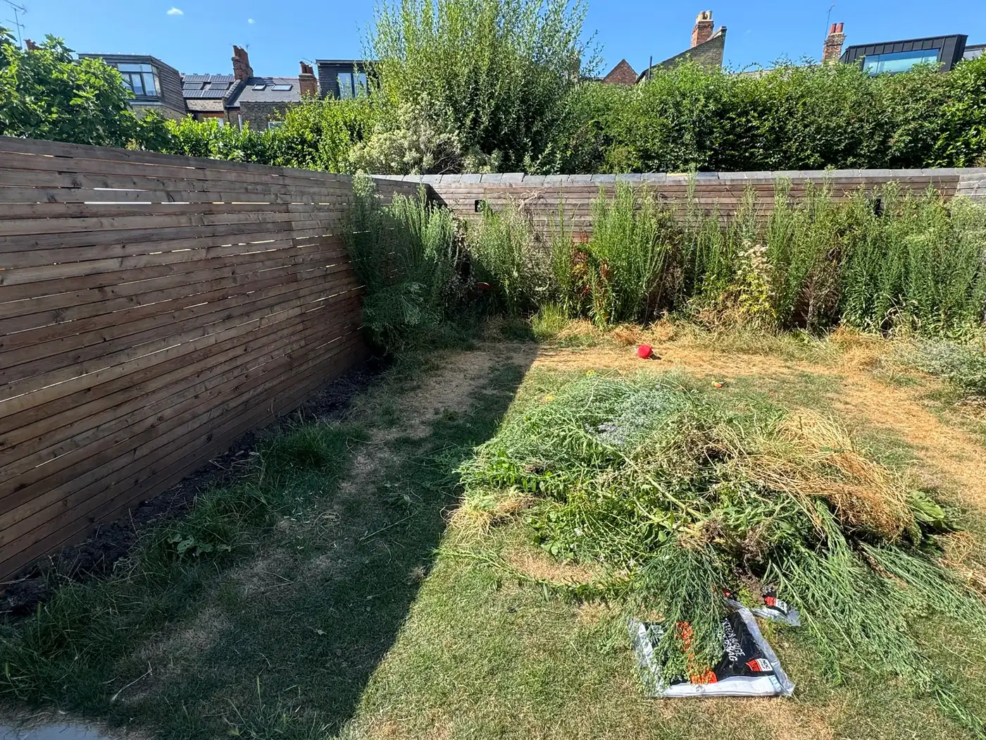 Before: Back garden borders and edging