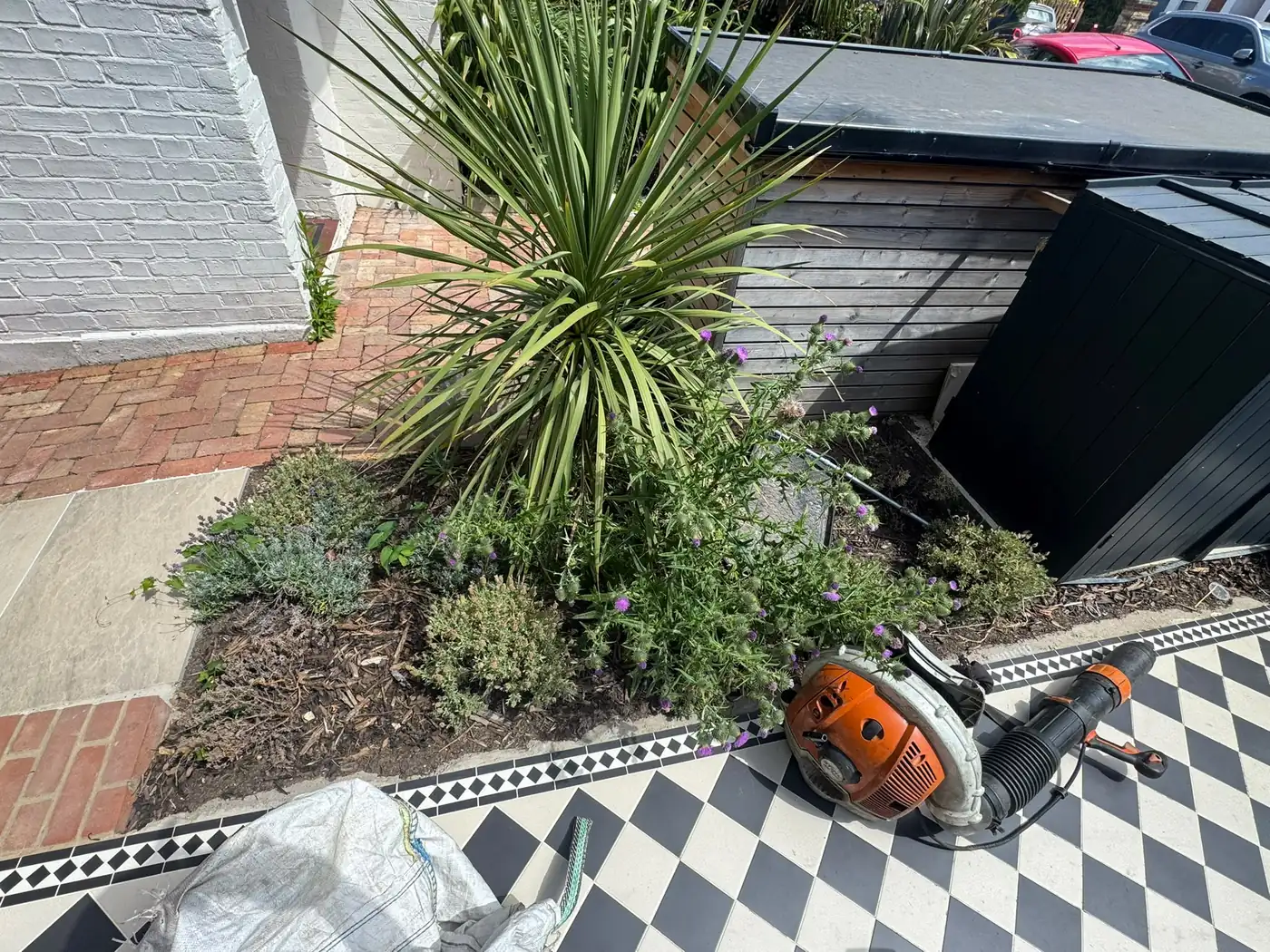 Garden Clearance