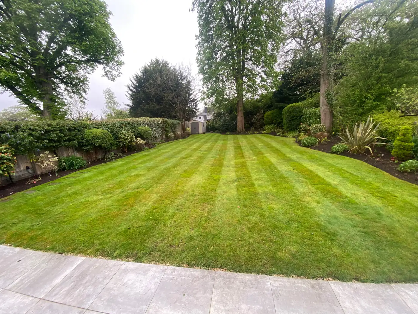 Lawn and borders by Lovell Gardens, landscapers covering Whetstone